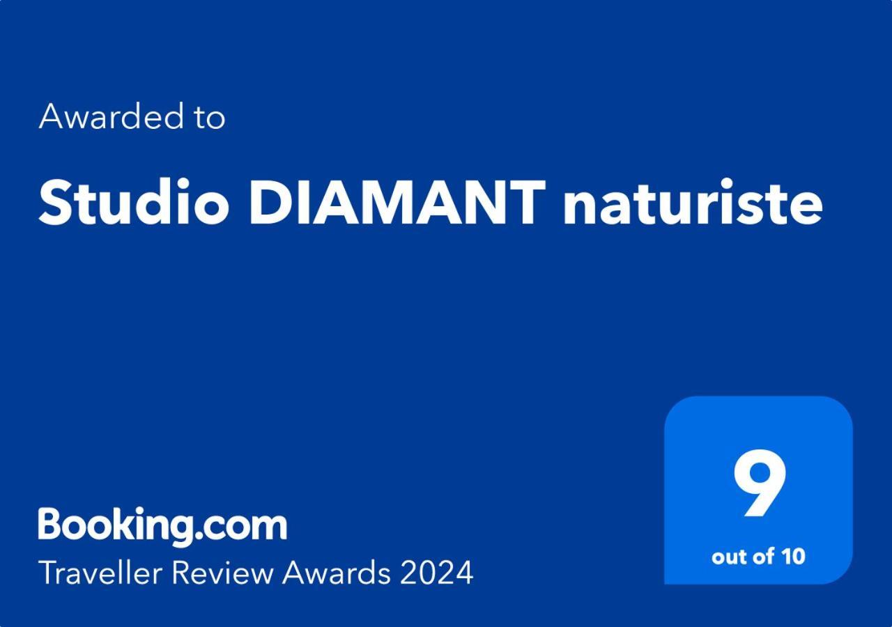 Studio Diamant Naturiste Agde Exterior photo